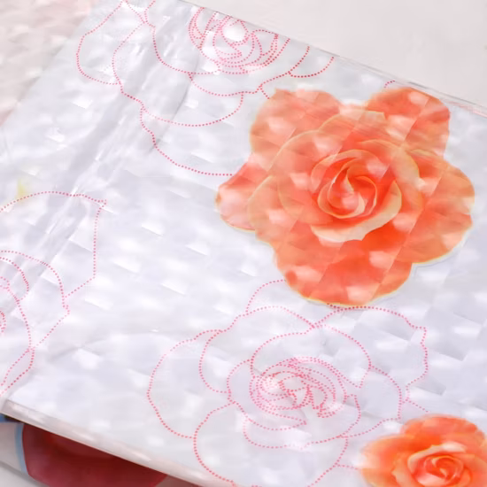 Plastic PVC Shower Curtain